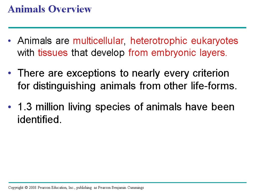 Chapter 32 An Introduction to Animal Diversity. Animals